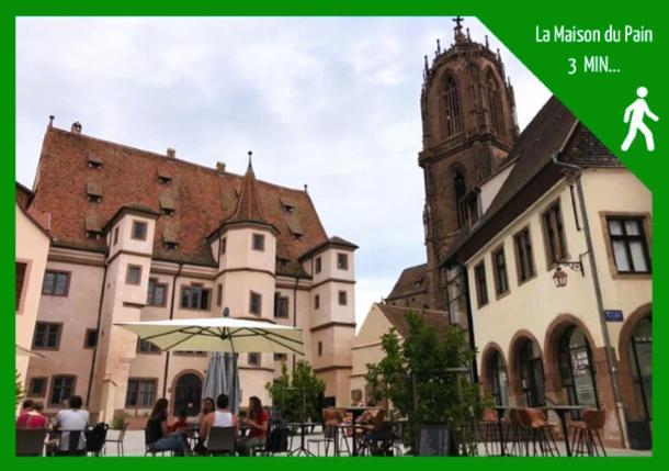 Grenier Des Cigognes Apartment Selestat Bagian luar foto
