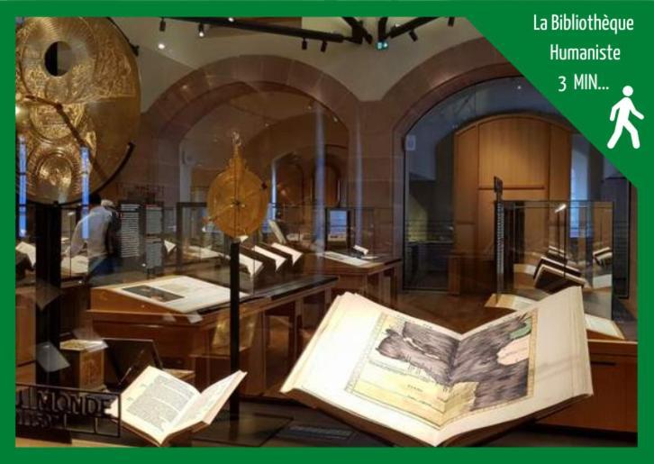 Grenier Des Cigognes Apartment Selestat Bagian luar foto
