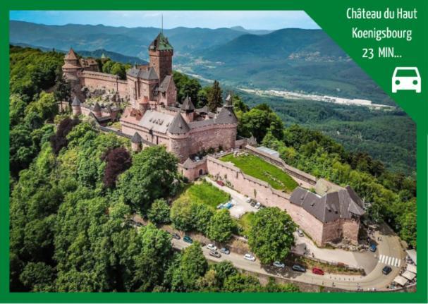 Grenier Des Cigognes Apartment Selestat Bagian luar foto