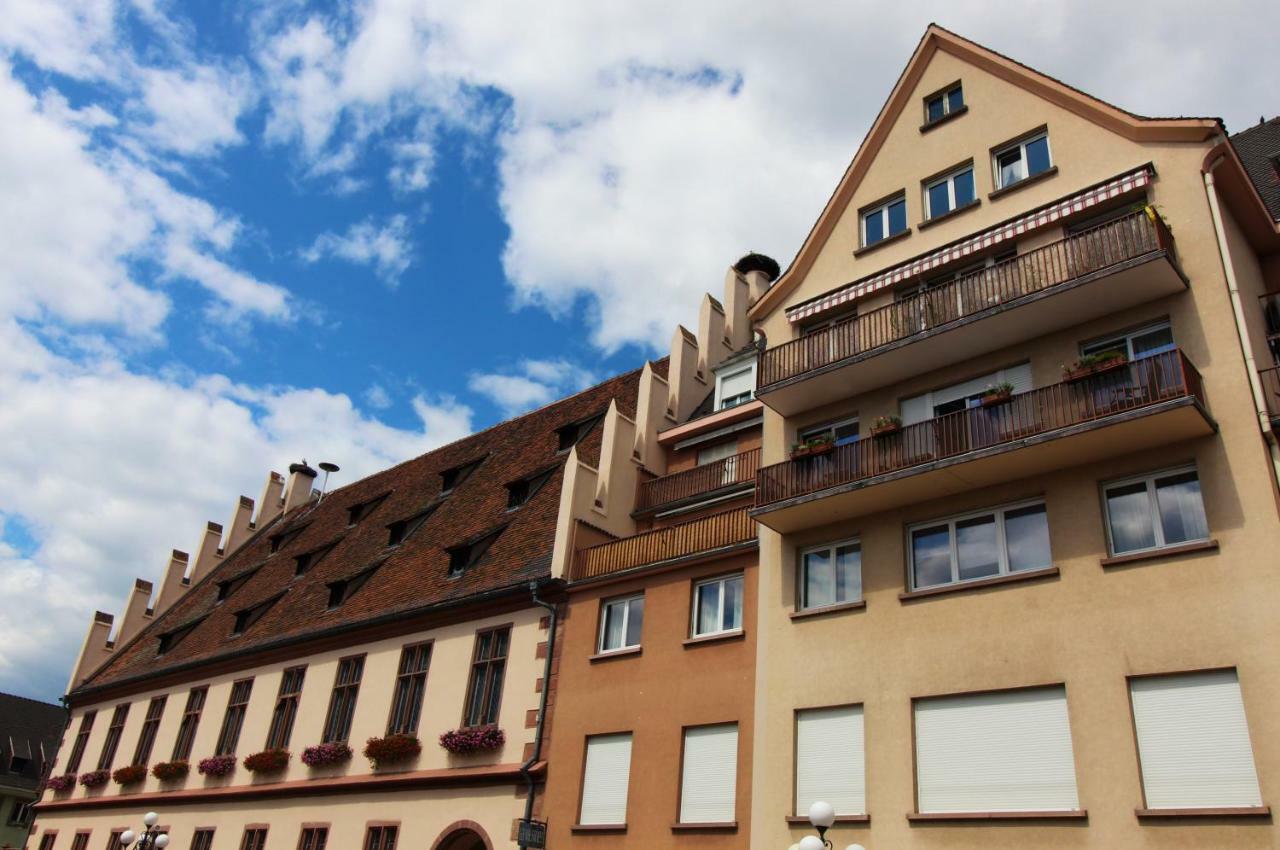 Grenier Des Cigognes Apartment Selestat Bagian luar foto